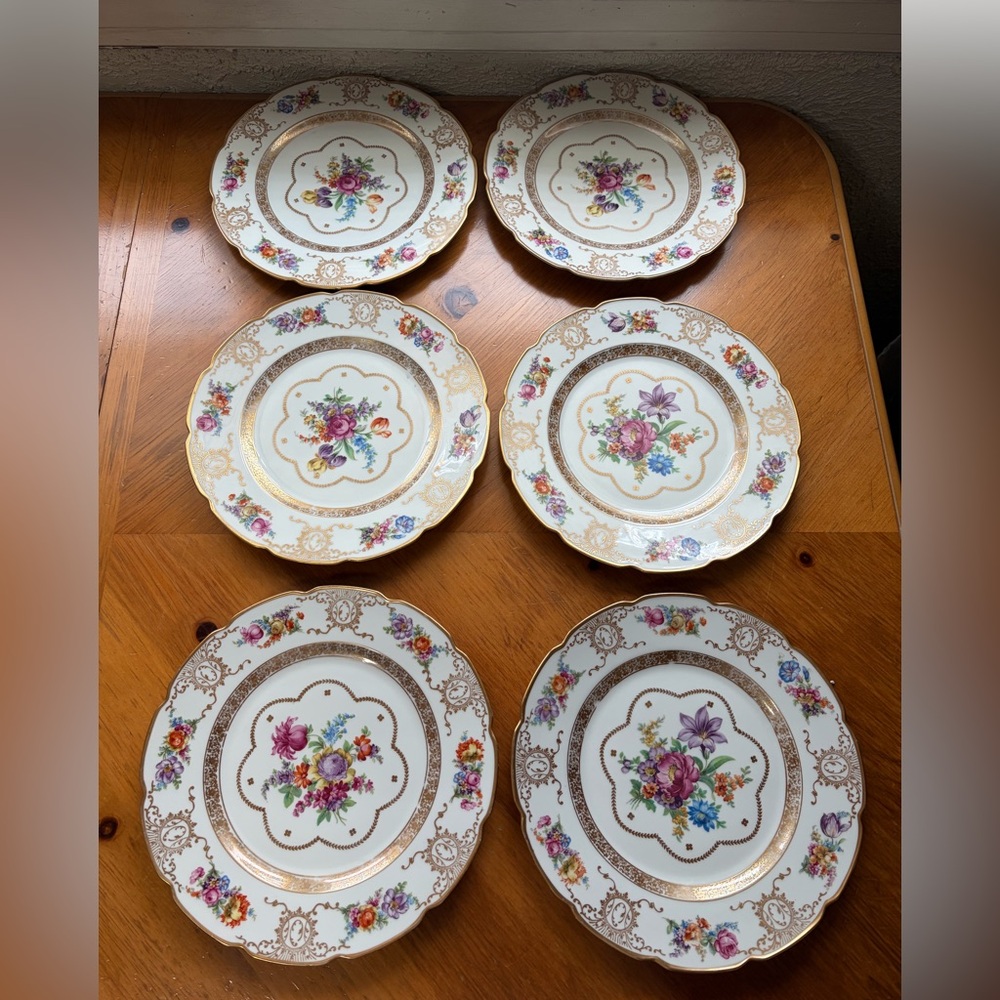 Vintage porcelain plates Schumann, Bavaria, Germany "Dresden Art"/11” (28 cm)SET